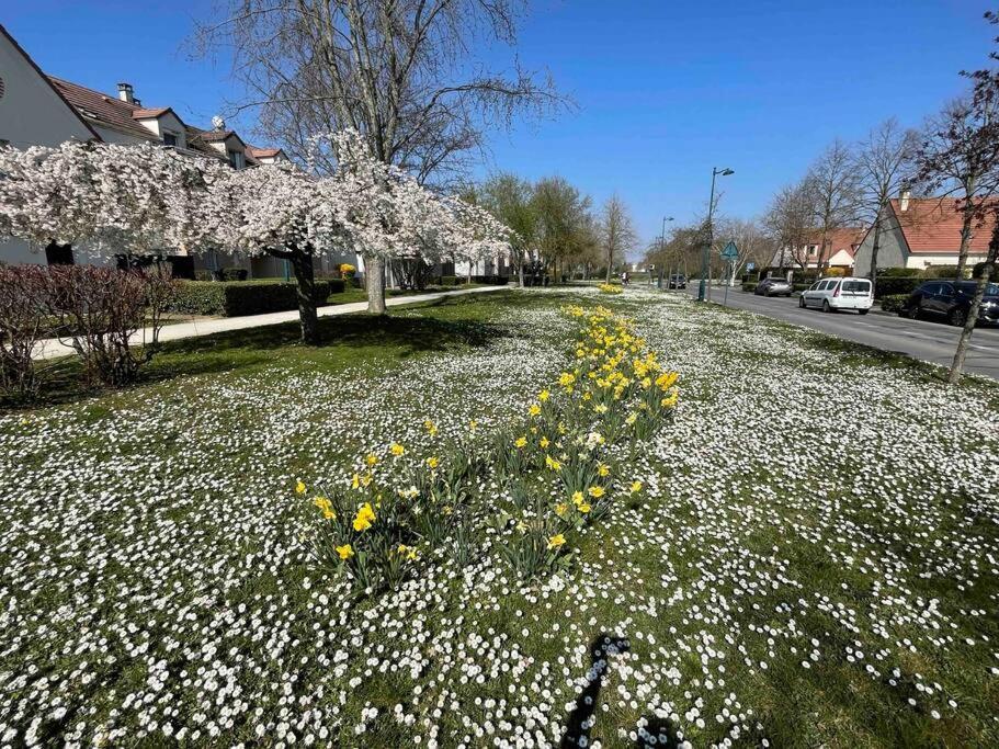 Apartment Marne La Vallee